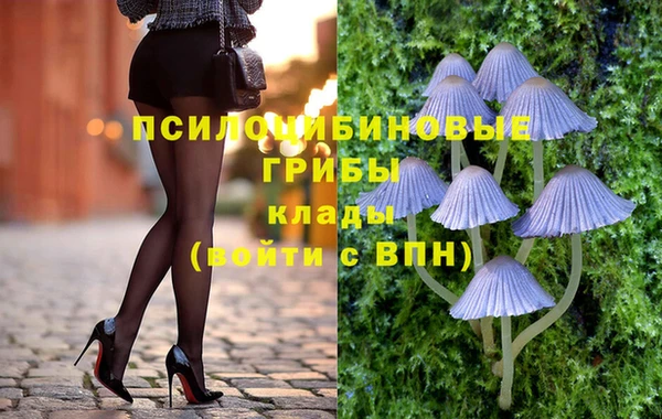 2c-b Лихославль