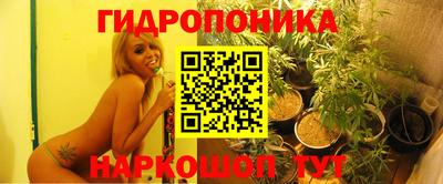 крисы Пыть-Ях