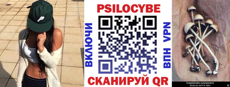 Псилоцибиновые грибы Psilocybine cubensis  Находка 