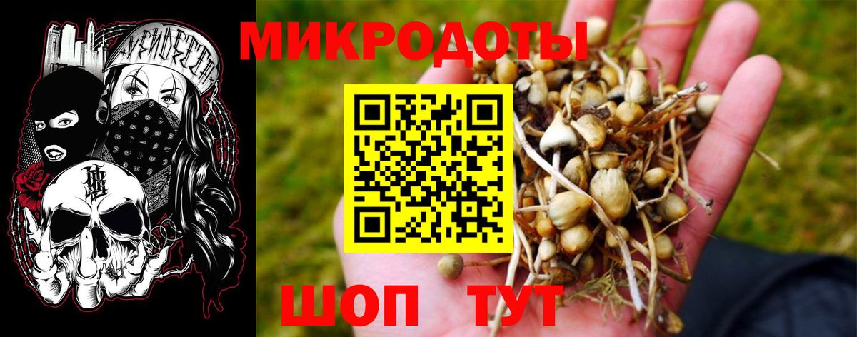Находка  Псилоцибиновые грибы прущие грибы  Вход с VPN  Псилоцибиновые грибы MAGIC MUSHROOMS 