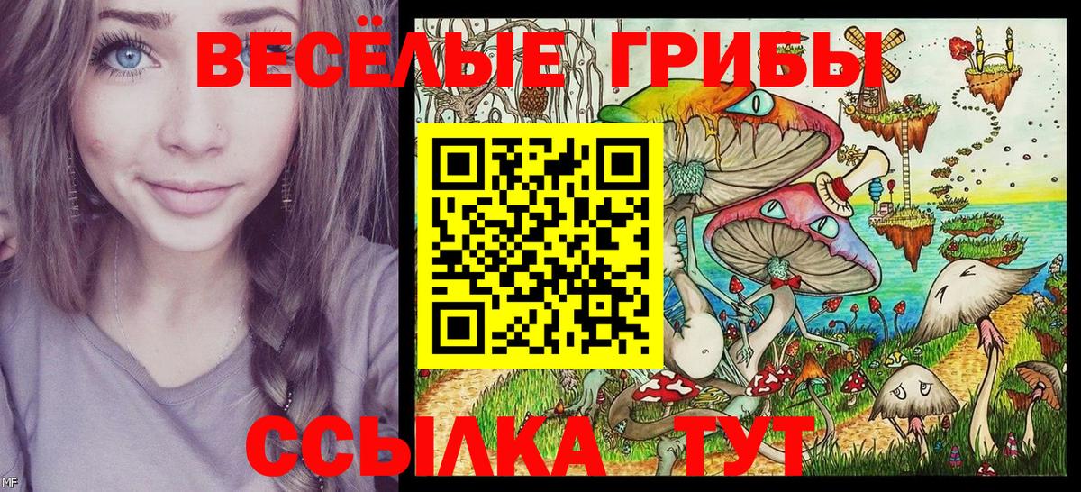 Галлюциногенные грибы Psilocybe Находка